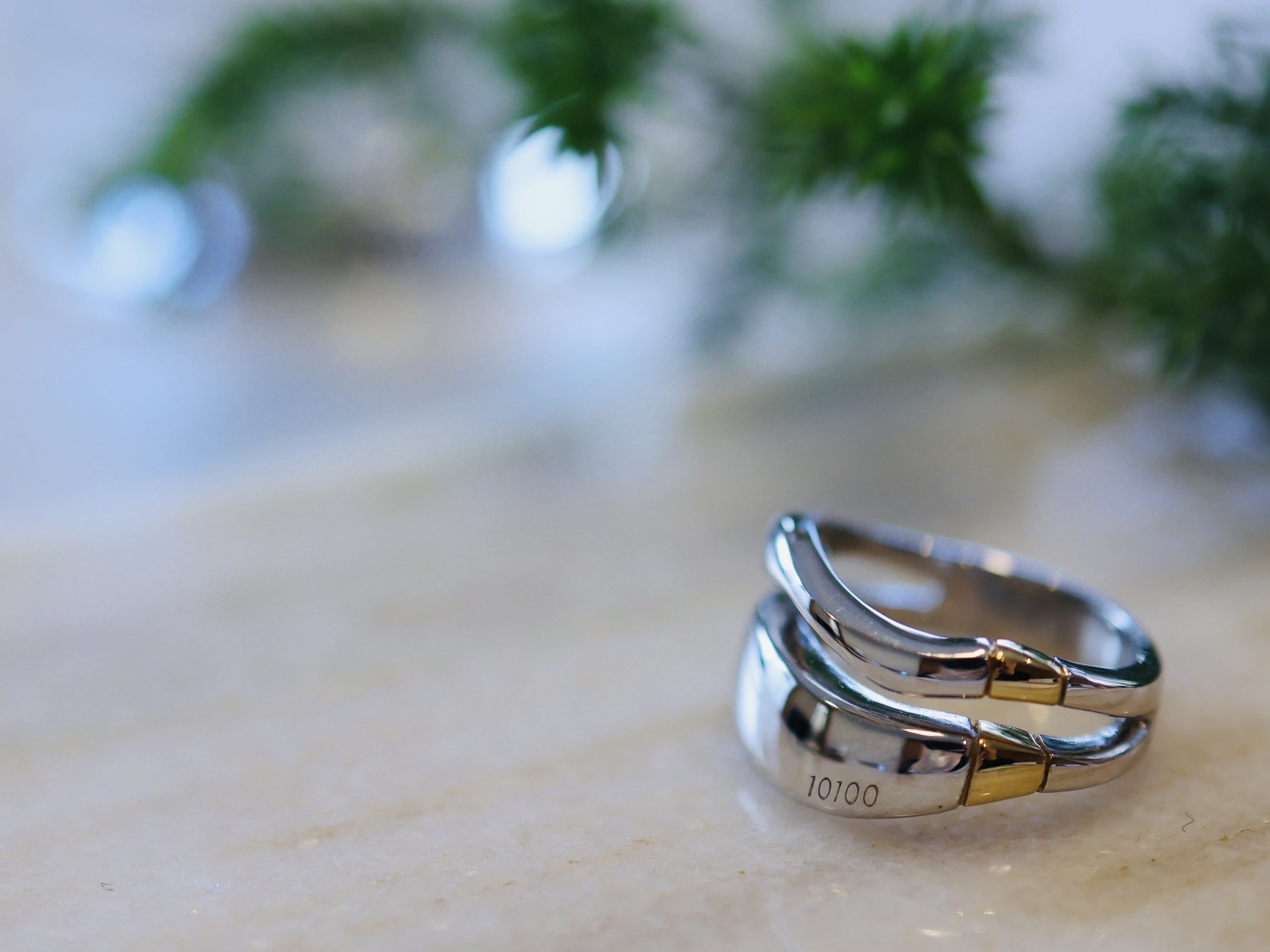 Titania ティターニア（シルバー） リング Orb株式会社